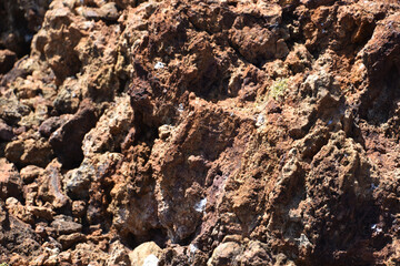 Rugged Lava Rock Up Close and Personal