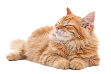 realistic cute ginger cat lying on isolated transparent background - generated by ai