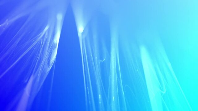 filigrane helle leuchtende Linien, futuristisch, Netzwerk, Hintergrund, digitale Daten, Hintergrund, Technologie, Wissenschaft, EDV, IT, Internet, ruhig, blau