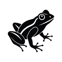 frog on a white background