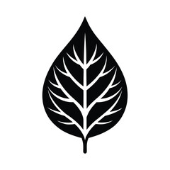 Green leaf set nature icon vector eco plant tree symbol illustration design