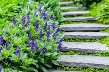 Obraz premium Botanical garden pathway lined with bright green plants and blooming lavender herbs in natural outdoor setting
