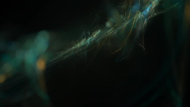 filigrane helle leuchtende Linien, futuristisch, Netzwerk, Hintergrund, digitale Daten, Hintergrund, Technologie, Wissenschaft, EDV, IT, Internet, ruhig, schwarz, gr&uuml;n