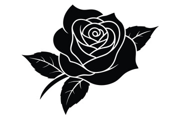 black and white rose