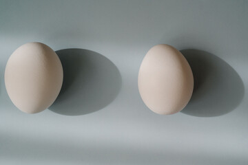 Two white eggs in a row with soft shadows on a light blue background. Minimalistic and aesthetic picture. 