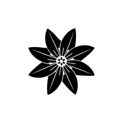 creative details Blazing Star Flower Icon vector illustration