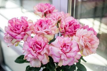 luxury bouquet of fresh pink roses, closeup