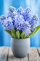 Stunning Blue Hyacinth Flowers in Gray Pot Spring Bouquet