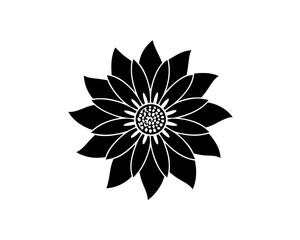  creative details Echinacea Purple Coneflower Icon vector illustration