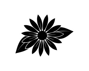  creative details Echinacea Purple Coneflower Icon vector illustration