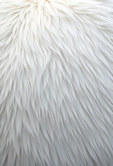 Fototapeta premium Luxurious white fur texture, soft and fluffy background, soft background, snow, clean background