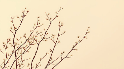 Fototapeta premium Early spring branches reach for the sky, bearing tiny buds against a soft, muted backdrop. a minimalist study of nature's awakening. Muted Awakening. Illustration