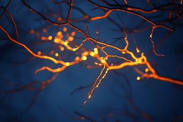 Glowing branches at night