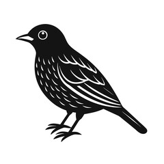 Obraz premium vector illustration of a bird