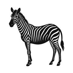 zebra vector illustration