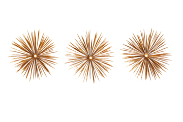 Festive gold fireworks display on black background, cut out transparent