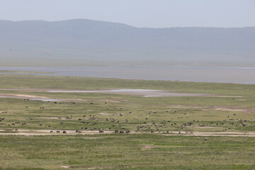 landscape africa tanzania