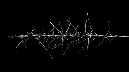 Unreadable Death Metal Band Logo