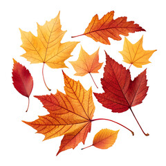 Colorful Autumn Leaves Collection on Dark Background with Details