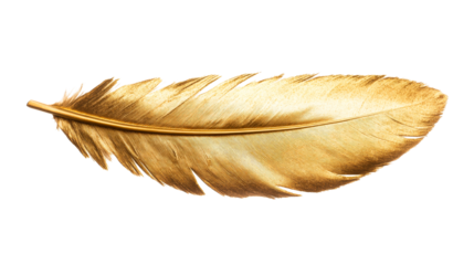 Gold feather quill, elegant texture, shining sheen, isolated detail, cut out transparent