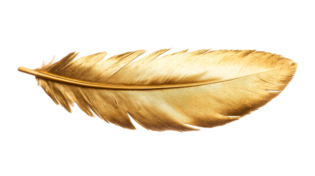 Gold feather quill, elegant texture, shining sheen, isolated detail, cut out transparent