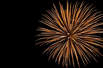 Spectacular Fireworks Display Lighting Up the Night Sky