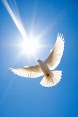 Fototapeta premium White dove flying against a bright blue sky 