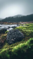 Dark rock in mossy riverbank, misty forest background. Nature website