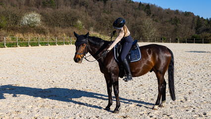 horse and rider