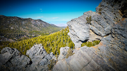 Aerial of Rugged Rocks and Lush Forest in Mt Charleston Nevada