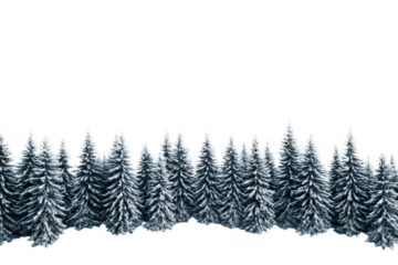 Snowy pine forest landscape with winter trees , cut out transparent