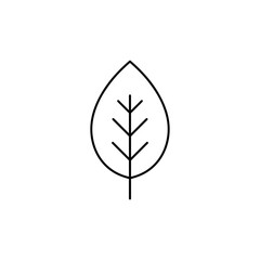 Simple Leaf Icon, Clean Line Style, Transparent Background, Nature Symbol, Eco-Friendly Design, UI/UX