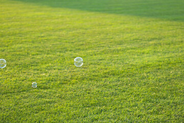 Beautiful soap bubble floating above green grass