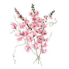 Watercolor bouquet with hand draw pink powder flowers, spring wildflowers, isolated on white background