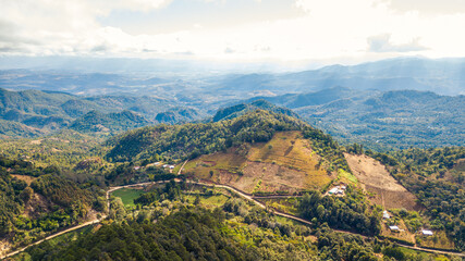 Coffee forest landscape in the highlands of Jalapa, Guatemala.