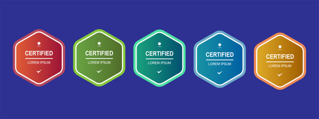 Certificate badge hexagon template for company training vector illustration	
