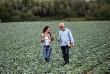 Conversations in the cabbage field between two farmers, man and woman