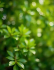 Obraz premium Soft-focus green foliage background, blurred blob highlights a vibrant leaf, environment, wild, color