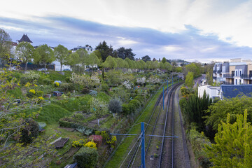 Spring in Paris. Blossom and architecture. Insects and flowers. High resolution photo.	