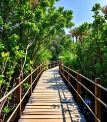 Obraz premium Elevated wooden boardwalk meanders through lush mangrove forest, tropical, trees