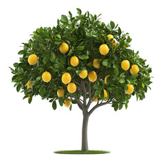 3D Decorative Lemon Tree with Ripe Fruit Isolated on Transparent Background