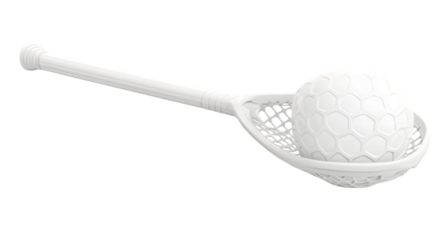 Lacrosse Stick and Ball Sports Equipment for Training and Play