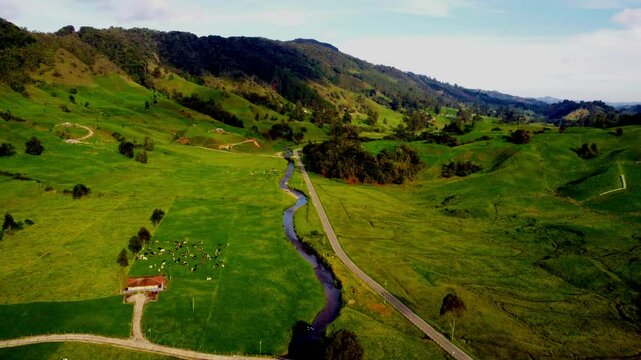 A farm in the countryside with cows and a river, in belmira town in colombia