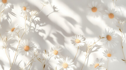 Romantic style image of a chamomile pattern on a white background, enhanced by sunlight shadows and soft focus, highlighting delicate petals. Gossamer Shadows. Illustration
