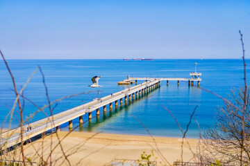 Obraz premium BURGAS, BULGARIA - MARCH 21, 2025: Long seaside pier stretches in calm blue sea with flying seagull above peaceful coastal horizon. Sea view blends architecture, nature, freedom in travel composition