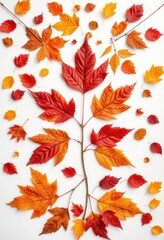 Intricate autumn leaf collage on pristine white backdrop, element, abstract