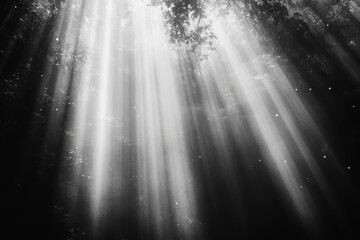 Abstract image of bright light rays breaking through darkness in black and white