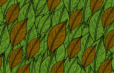 background seed 3.eps