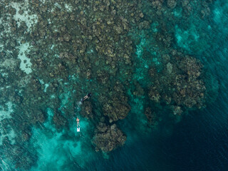 Freediver on the coral reef from a drone perspective