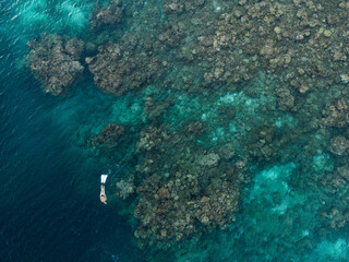 Freediver on the coral reef from a drone perspective